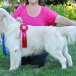 International Champion Chester Beaumont of Strike Golden