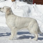 Milly