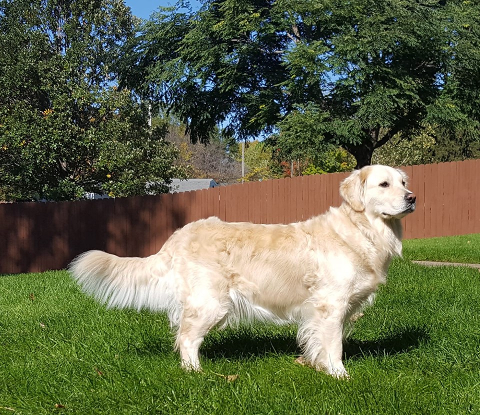 Bella Mist